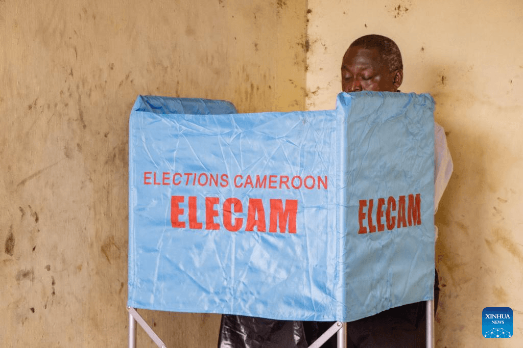election process in cameroon